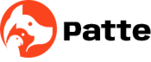joychakmaworld.com